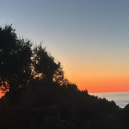 Bergeriemuratinca Privacy Piscine Vue 16 Pers - Location Du Samedi Au Samedi Corbara