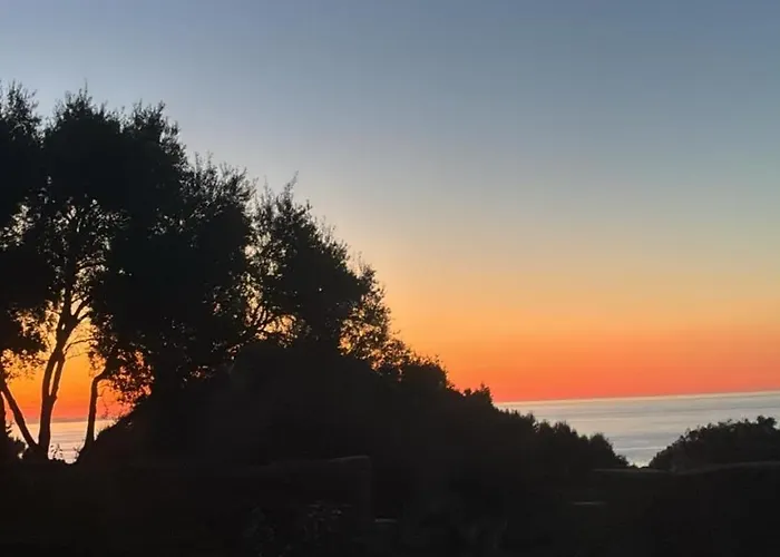 Bergeriemuratinca Privacy Piscine Vue 16 Pers - Location Du Samedi Au Samedi Corbara