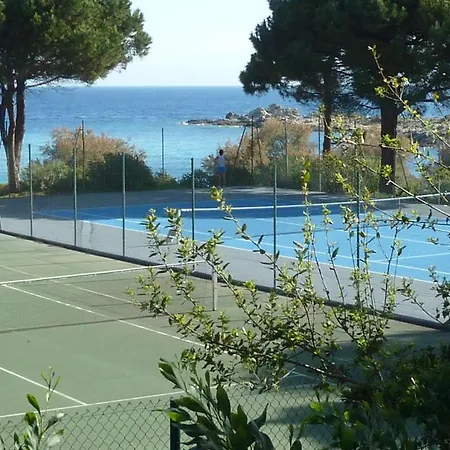 Bergeriemuratinca Privacy Piscine Vue 16 Pers - Location Du Samedi Au Samedi Corbara