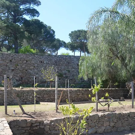 Bergeriemuratinca Privacy Piscine Vue 16 Pers - Location Du Samedi Au Samedi Villa Corbara