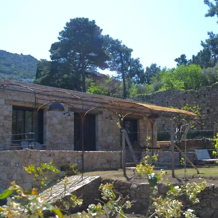 Bergeriemuratinca Privacy Piscine Vue 16 Pers - Location Du Samedi Au Samedi Villa *