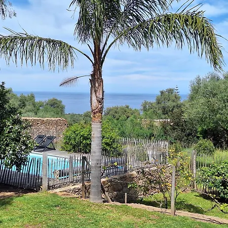 Villa Bergeriemuratinca Privacy Piscine Vue 16 Pers - Location Du Samedi Au Samedi Corbara